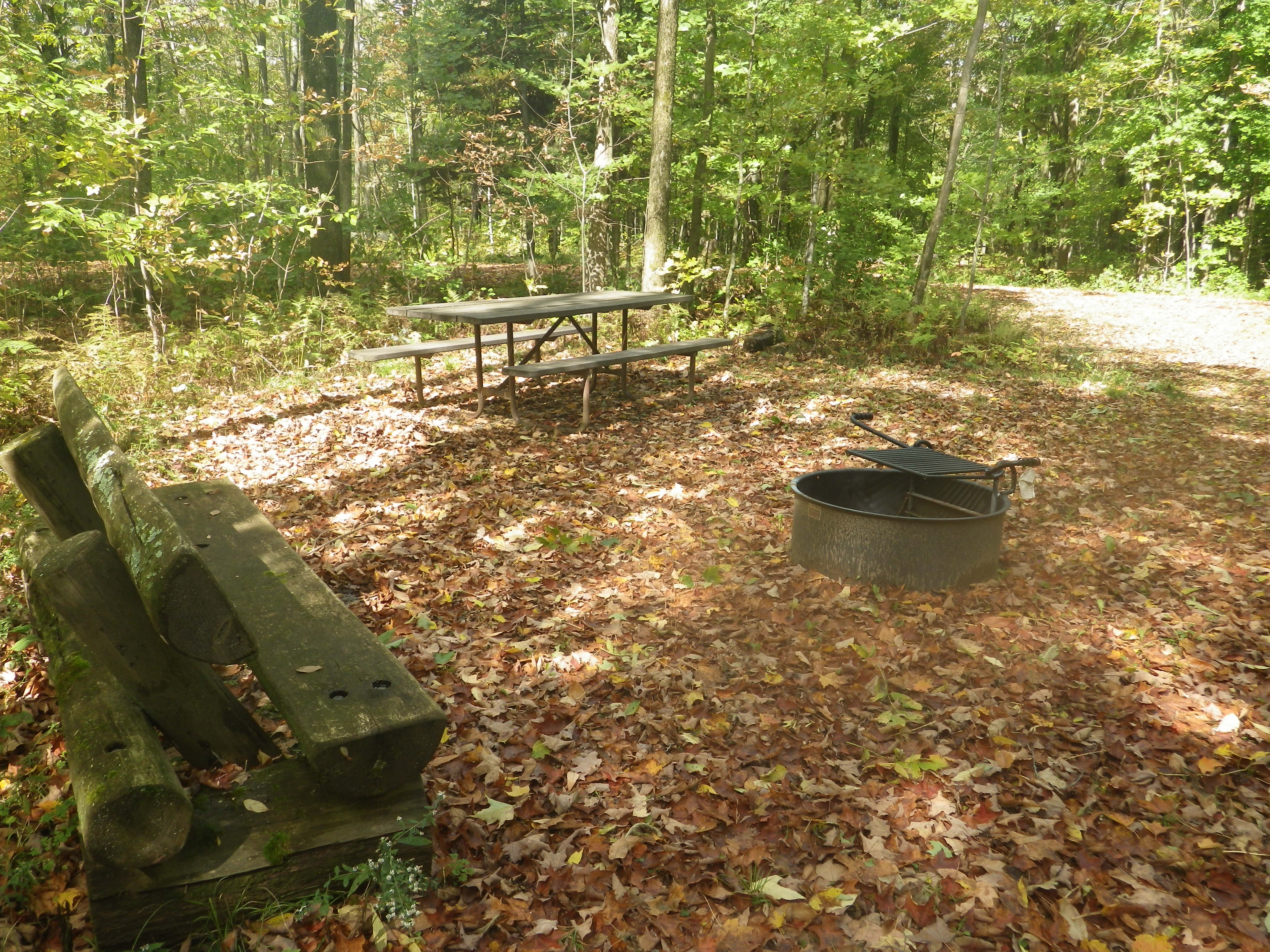Site 127, photo 3 of 3 · from wisconsin.goingtocamp.com (the park's booking system)