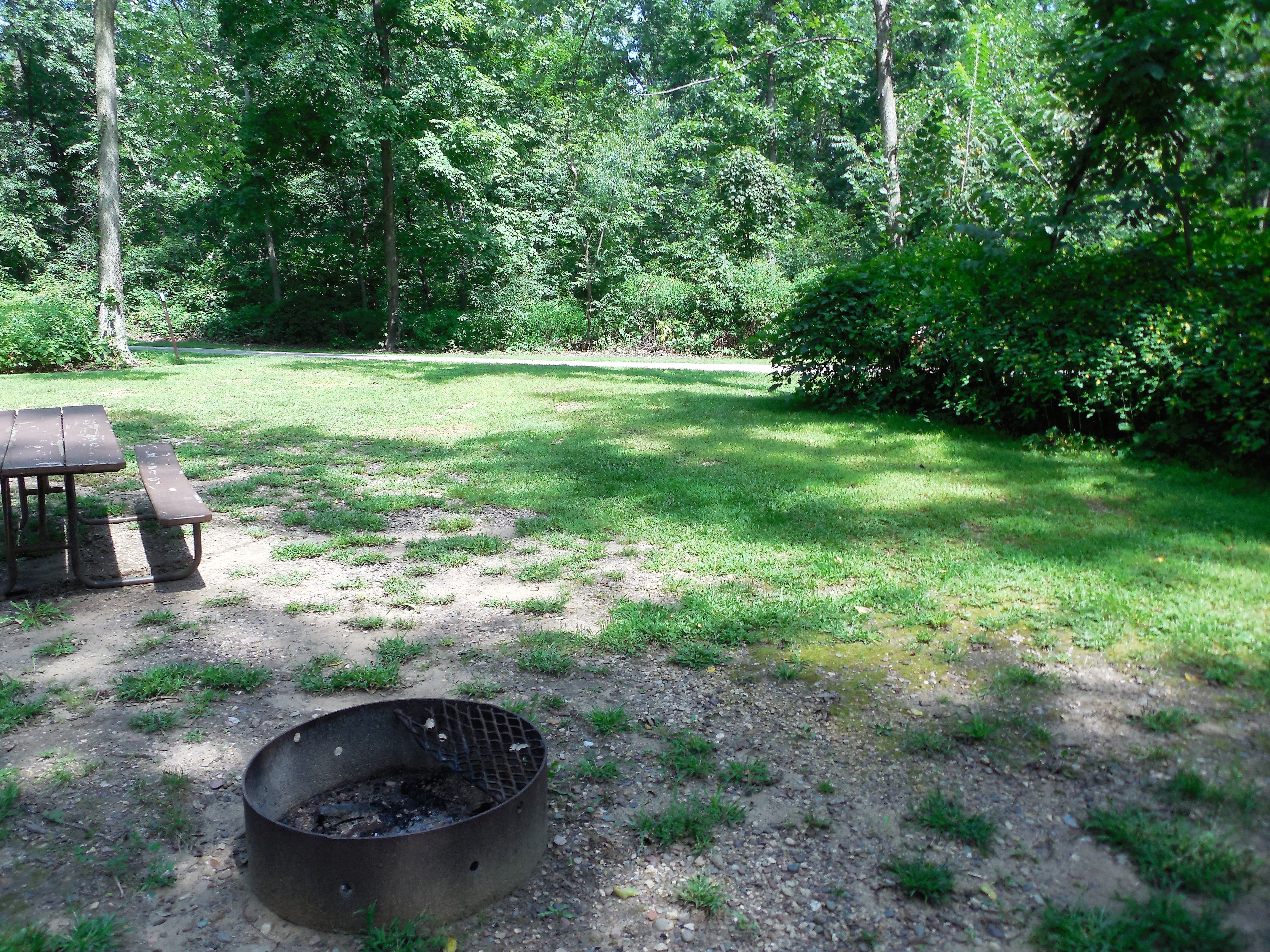Site 4, photo 3 of 3 · from wisconsin.goingtocamp.com (the park's booking system)