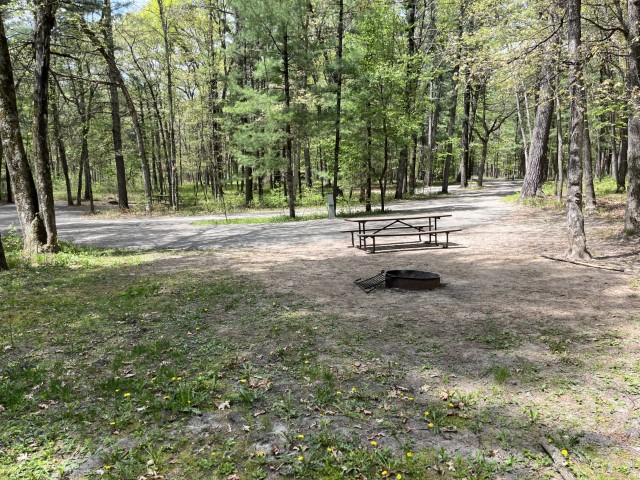 Site 15, photo 3 of 3 · from wisconsin.goingtocamp.com (the park's booking system)