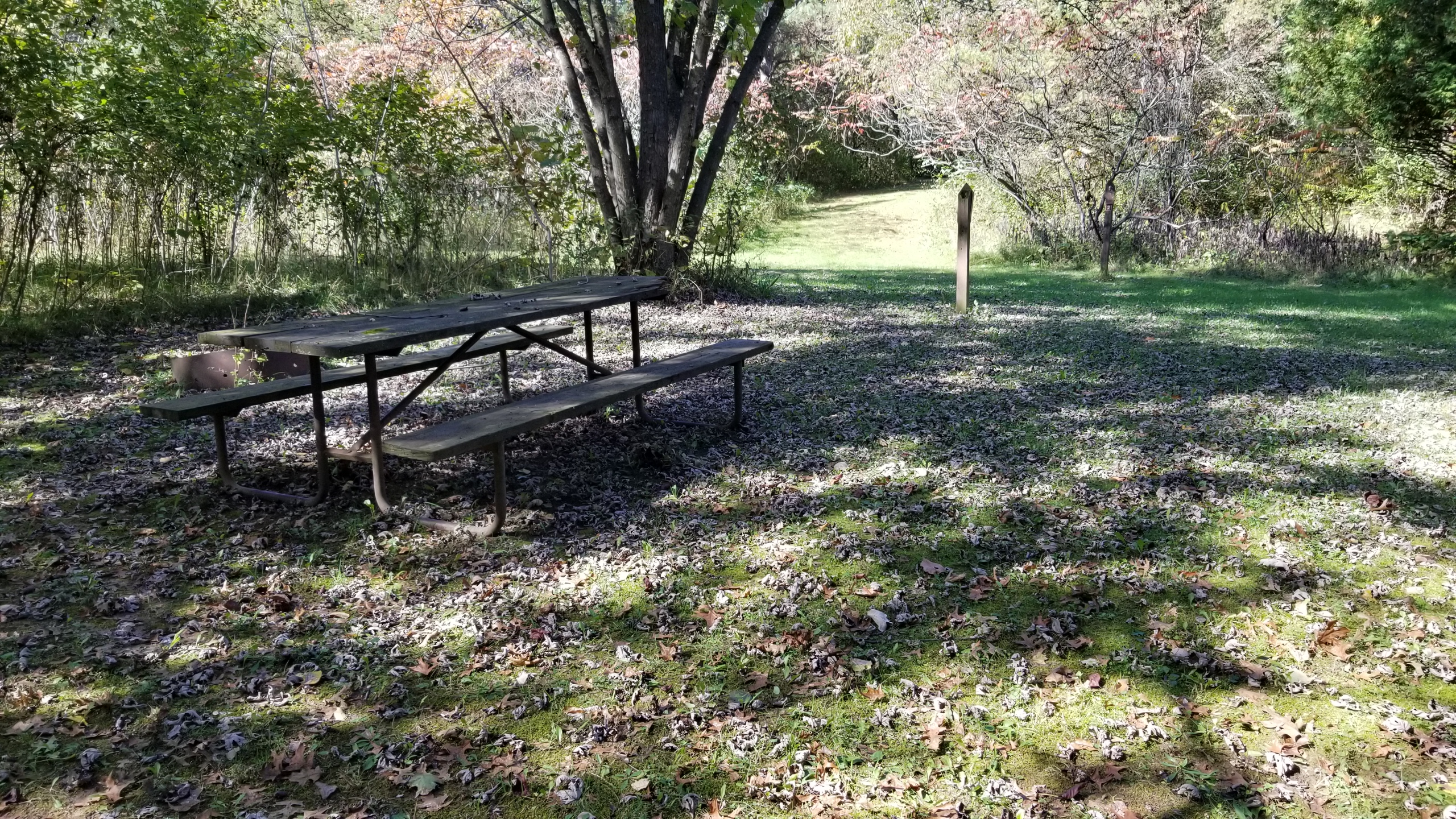 Site 1, photo 2 of 2 · from wisconsin.goingtocamp.com (the park's booking system)