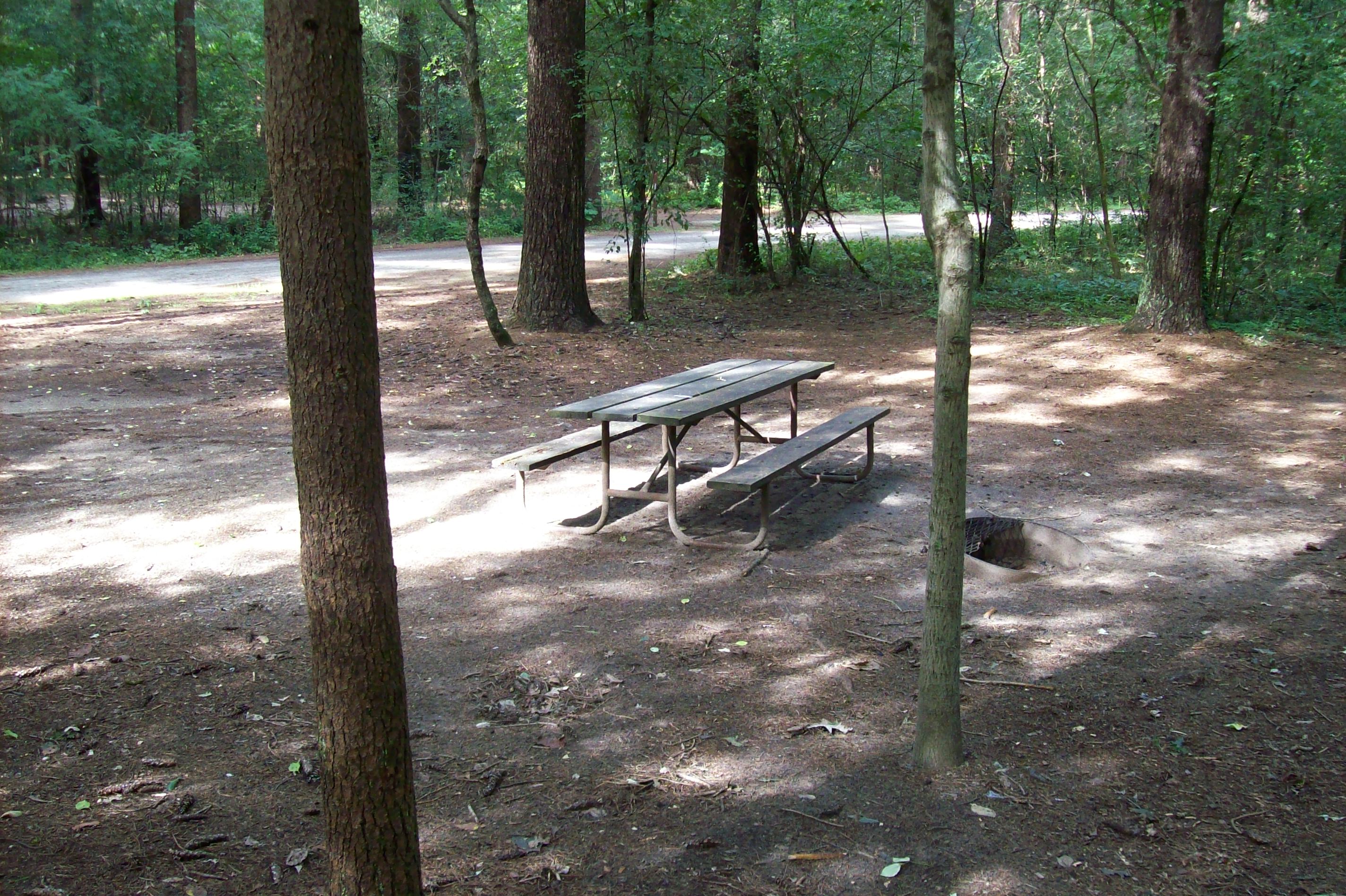 Site 293, photo 2 of 3 · from wisconsin.goingtocamp.com (the park's booking system)