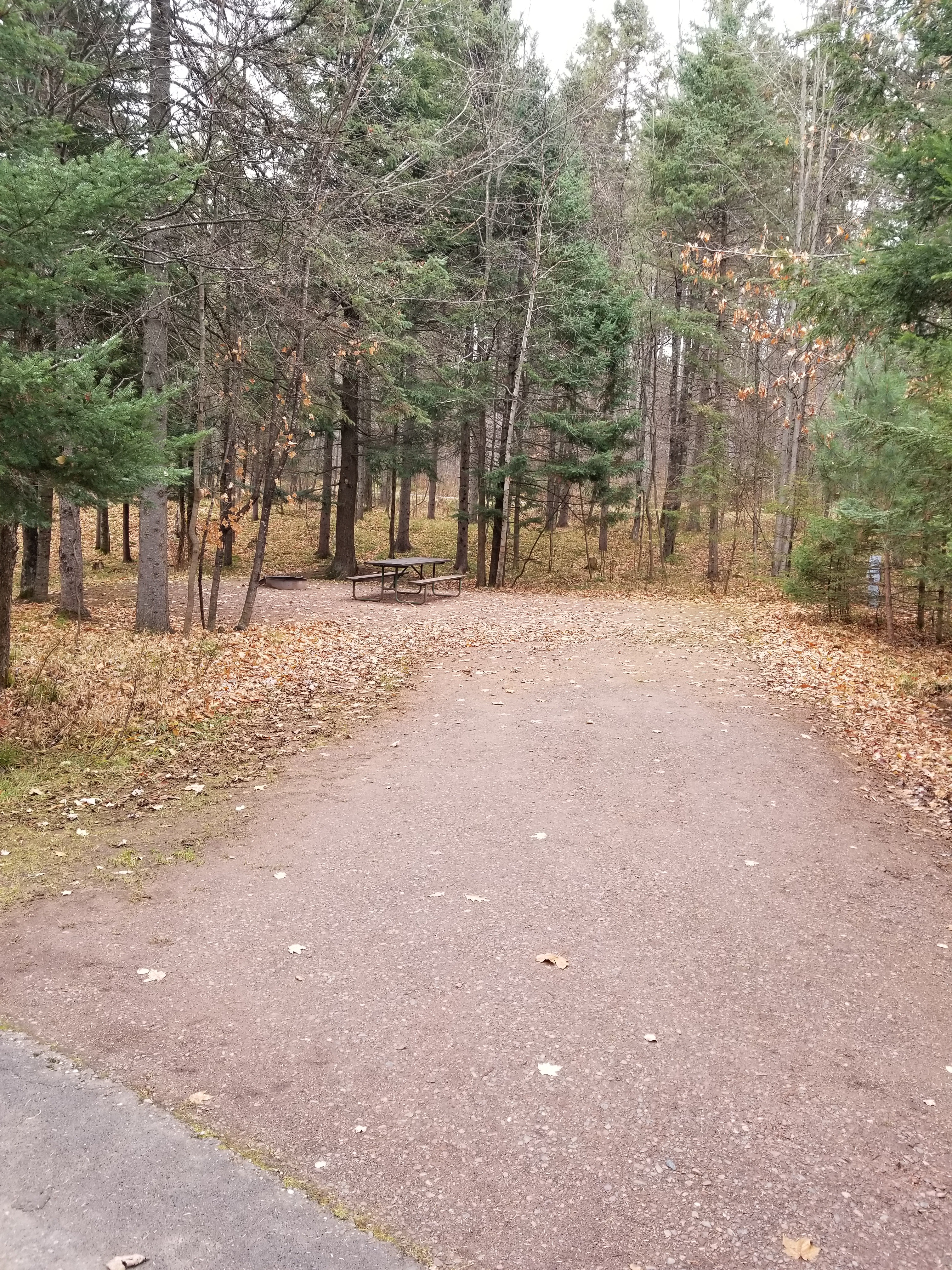 Site 31, photo 2 of 4 · from wisconsin.goingtocamp.com (the park's booking system)