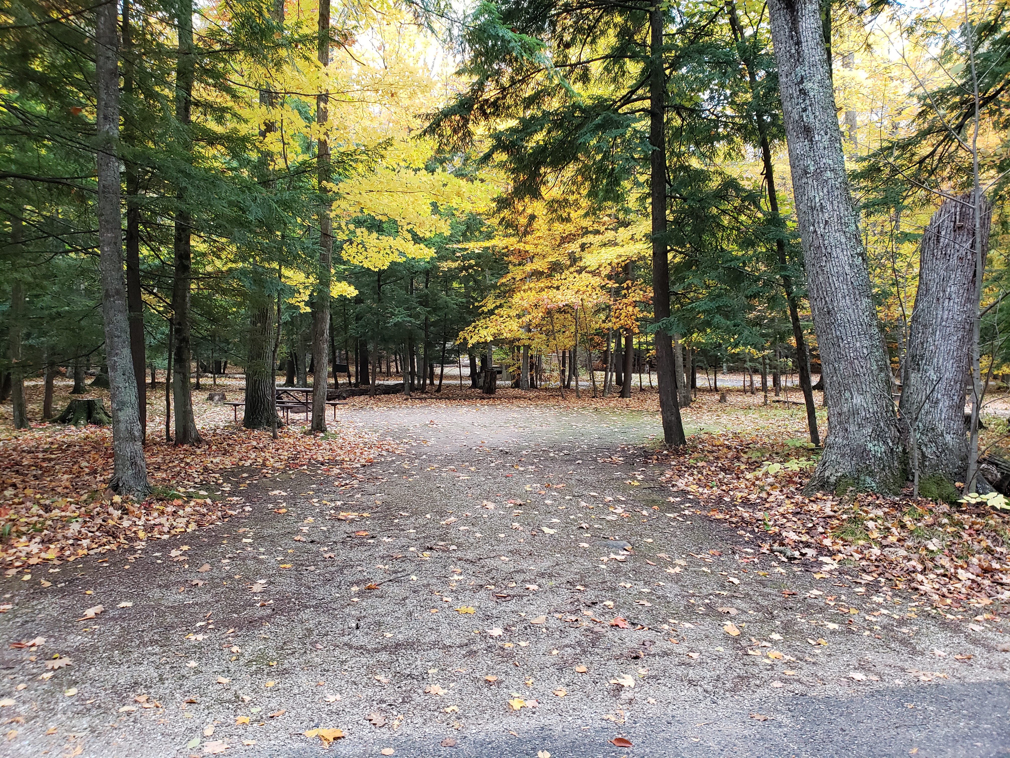 Site 114, photo 2 of 3 · from wisconsin.goingtocamp.com (the park's booking system)