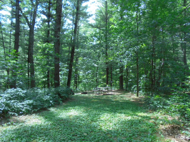 Site 2, photo 3 of 3 · from wisconsin.goingtocamp.com (the park's booking system)