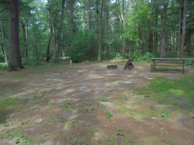 Site 5, photo 2 of 4 · from wisconsin.goingtocamp.com (the park's booking system)