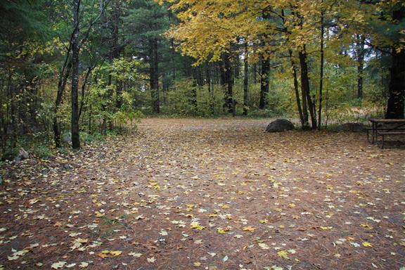 Site 496, photo 2 of 3 · from wisconsin.goingtocamp.com (the park's booking system)