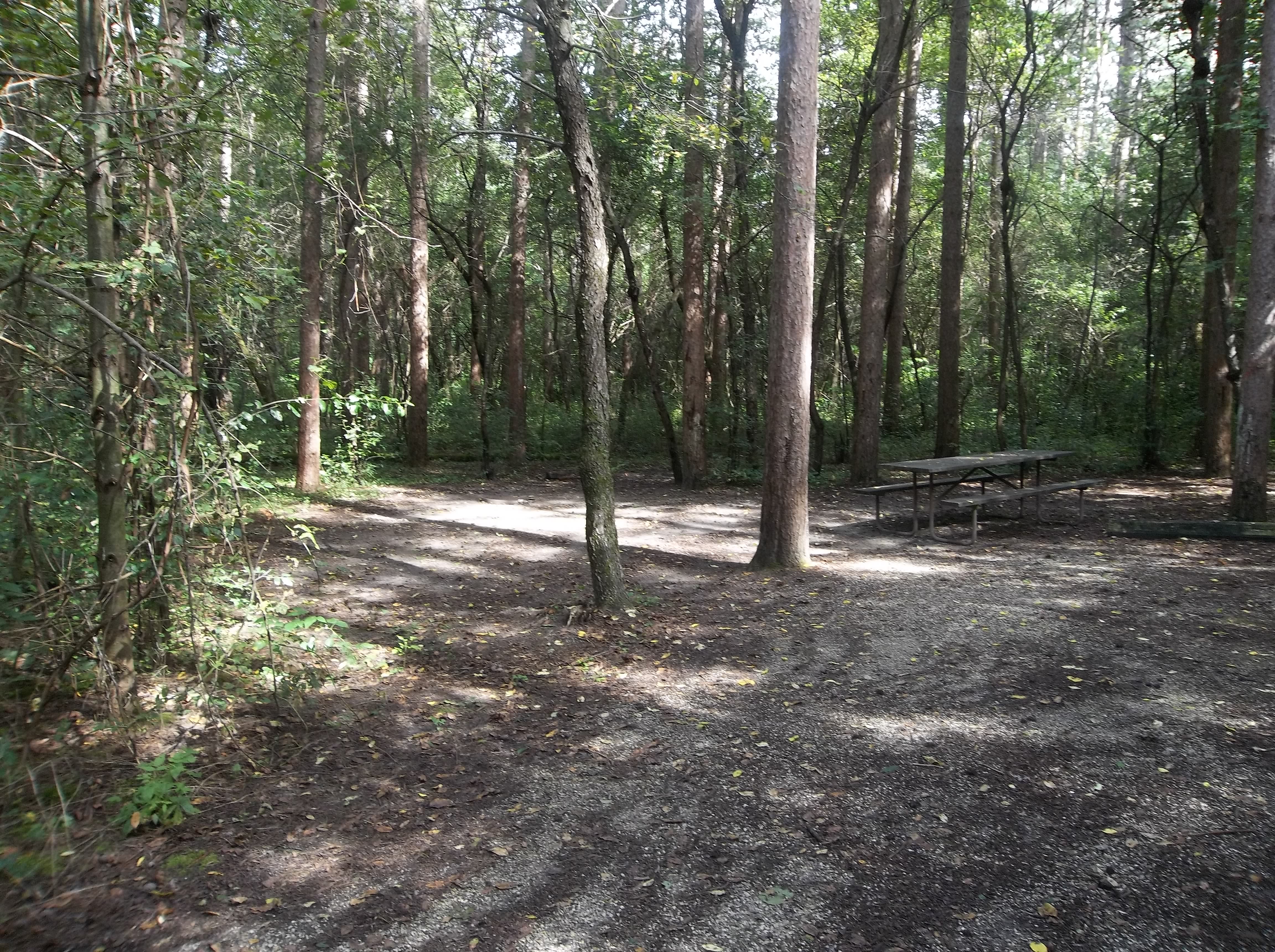 Site 263, photo 3 of 6 · from wisconsin.goingtocamp.com (the park's booking system)