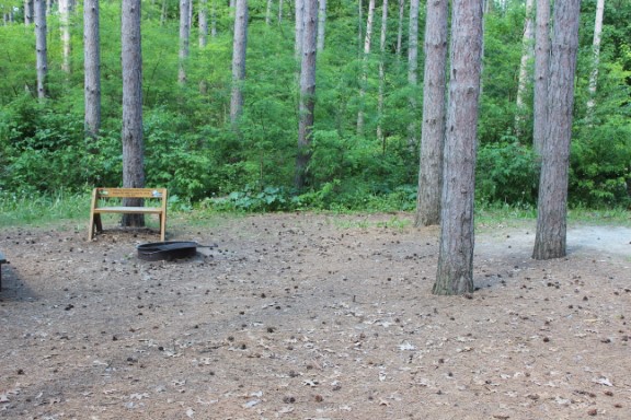 Site 39, photo 2 of 3 · from wisconsin.goingtocamp.com (the park's booking system)