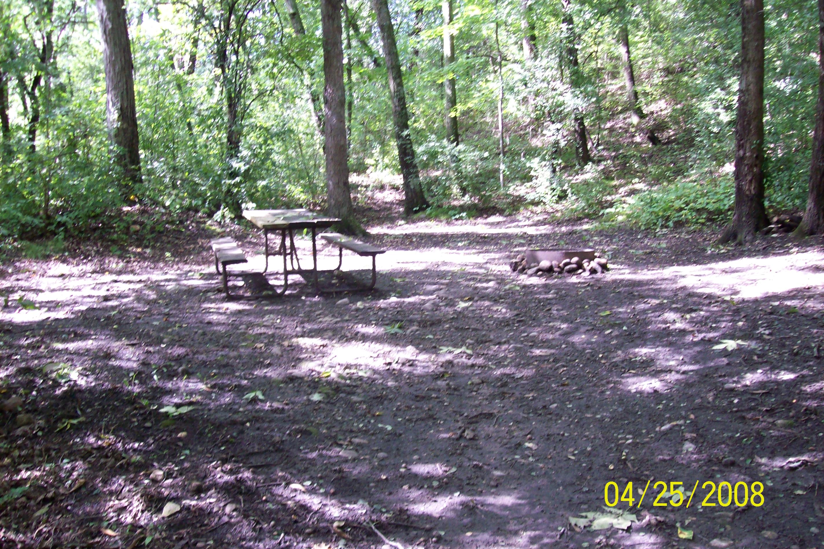 Site 156, photo 3 of 4 · from wisconsin.goingtocamp.com (the park's booking system)
