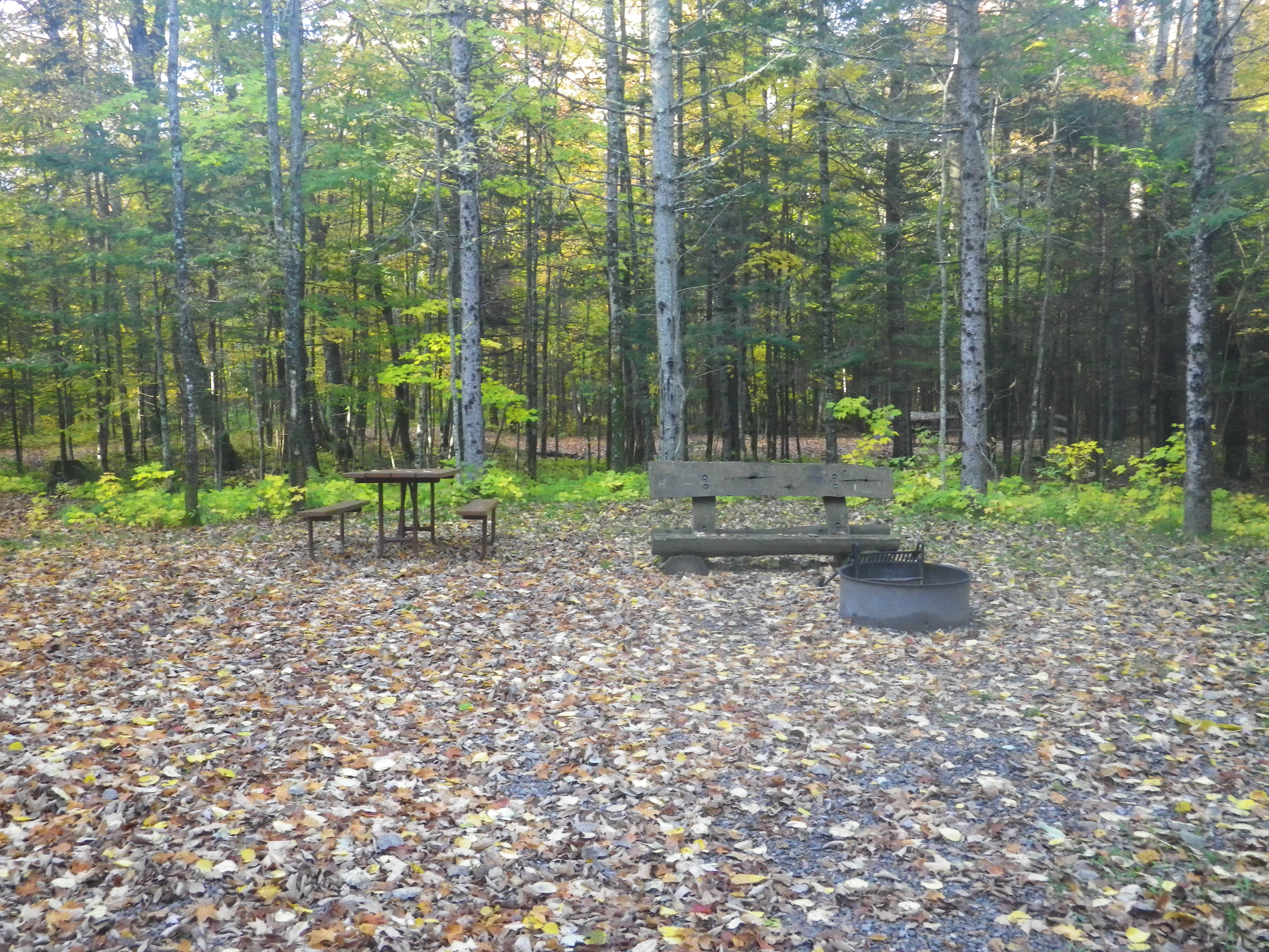 Site 11, photo 3 of 3 · from wisconsin.goingtocamp.com (the park's booking system)