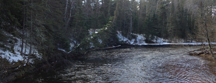 Brule River State Forest