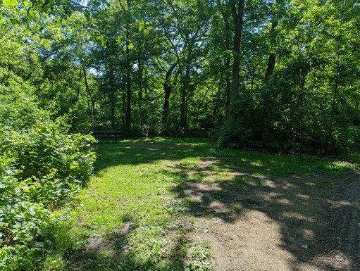 Site 1, photo 3 of 3 · from wisconsin.goingtocamp.com (the park's booking system)