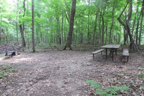 Site 7, photo 3 of 5 · from wisconsin.goingtocamp.com (the park's booking system)