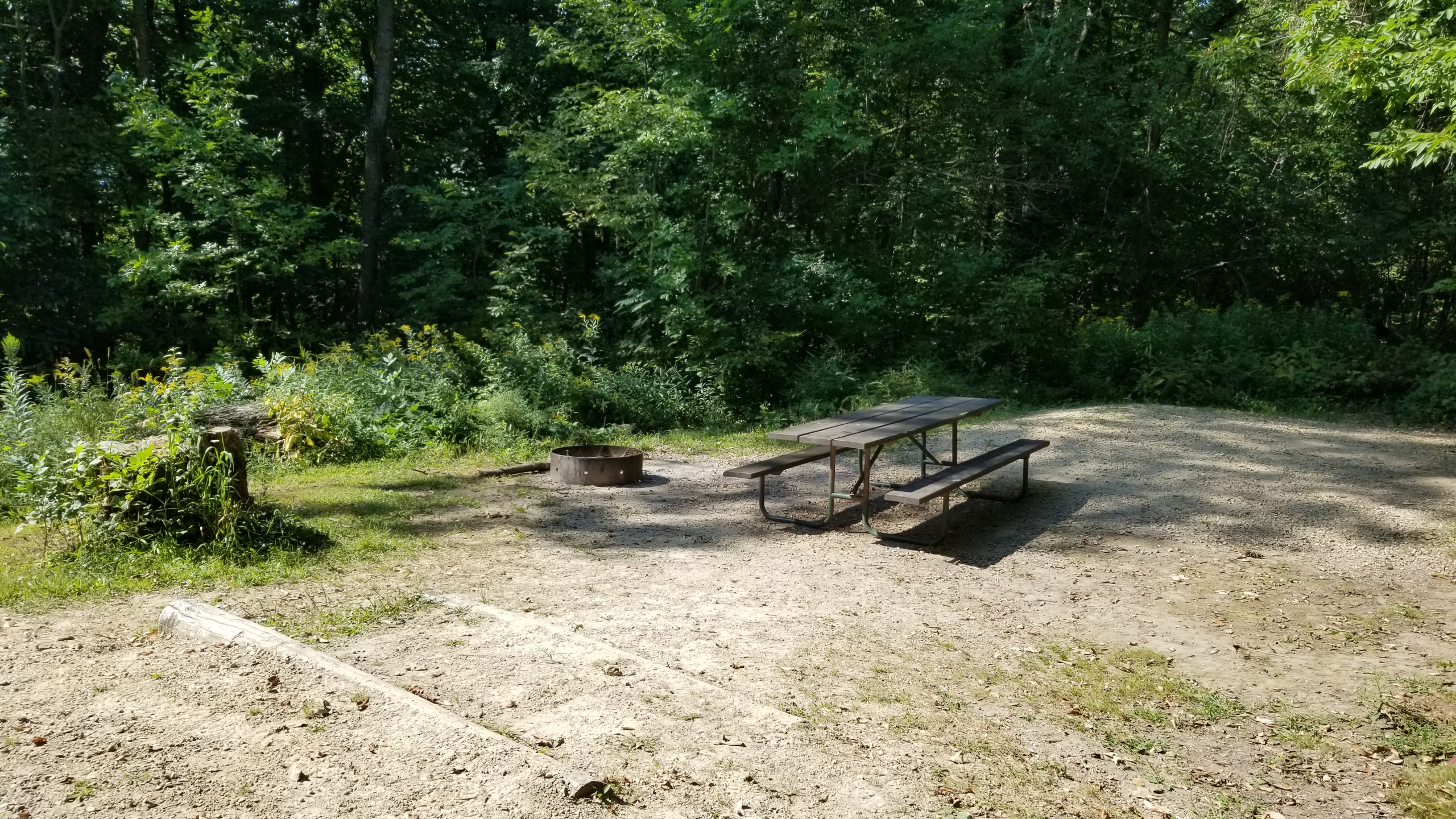 Site 1, photo 2 of 2 · from wisconsin.goingtocamp.com (the park's booking system)