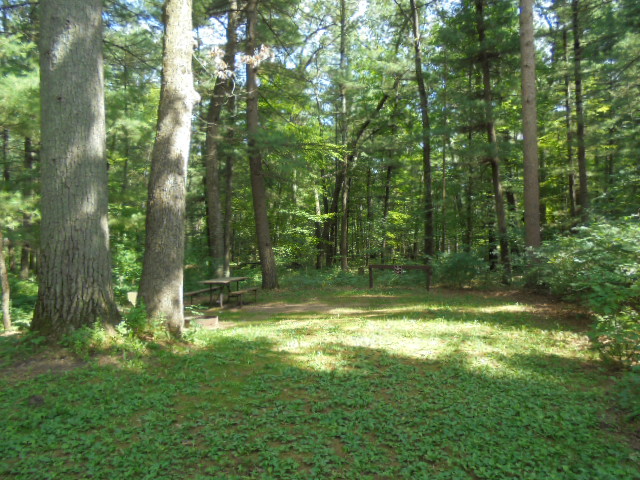 Site 3, photo 3 of 3 · from wisconsin.goingtocamp.com (the park's booking system)