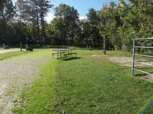 Site 14, photo 3 of 3 · from wisconsin.goingtocamp.com (the park's booking system)