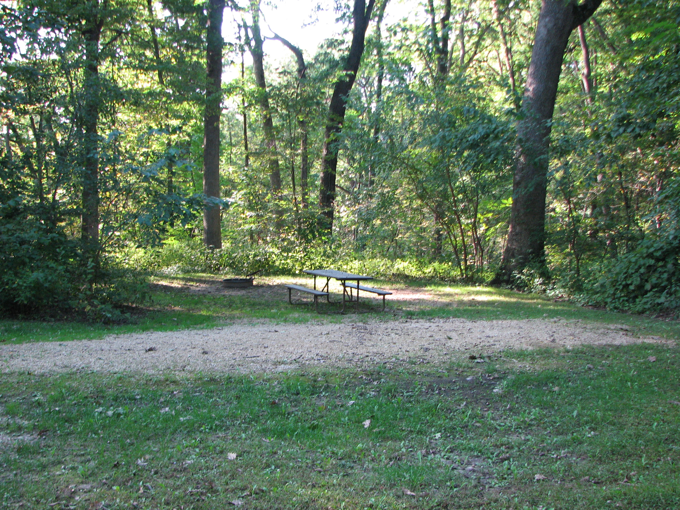 Site 13, photo 2 of 3 · from wisconsin.goingtocamp.com (the park's booking system)
