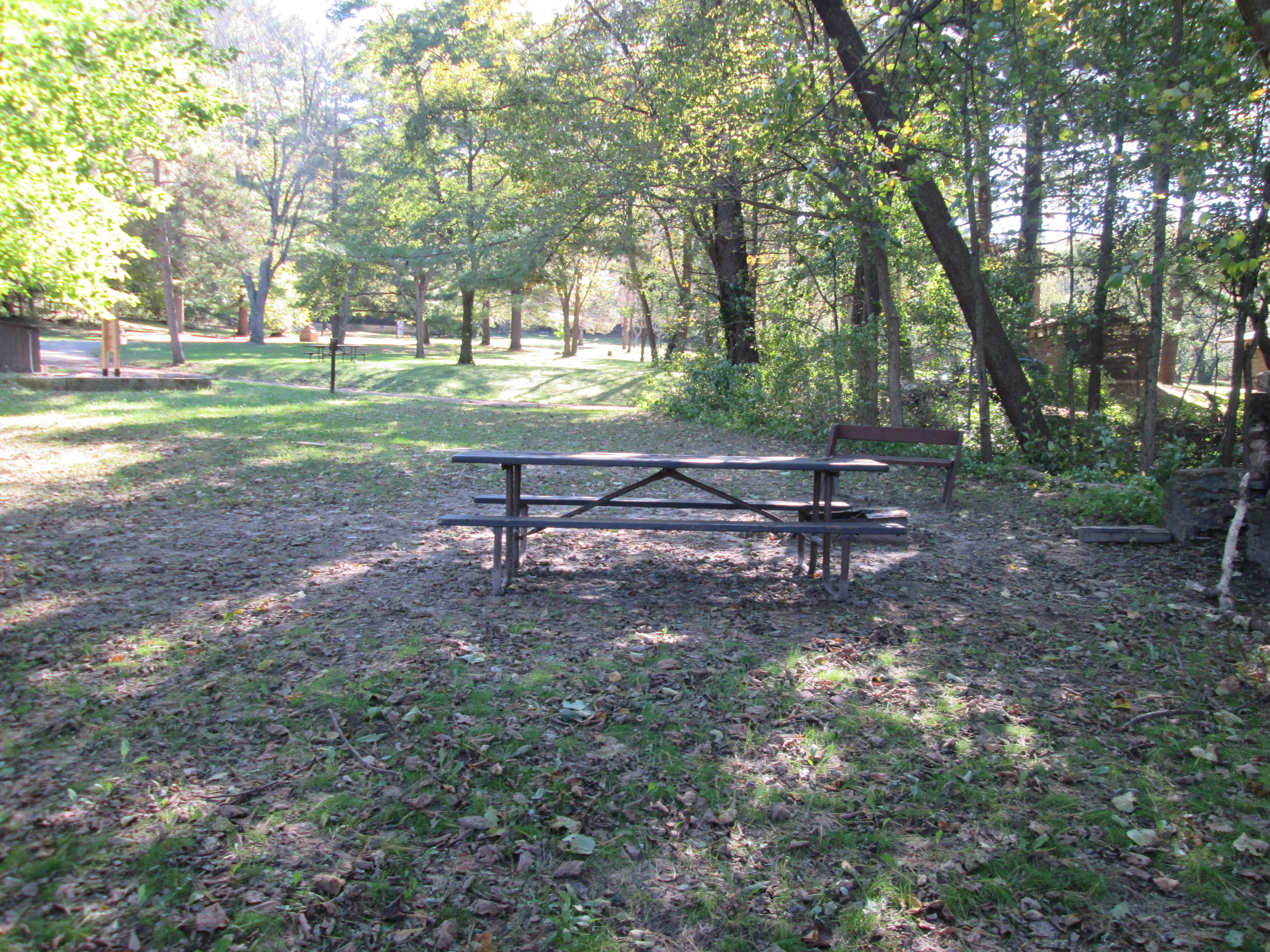 Site 6, photo 2 of 3 · from wisconsin.goingtocamp.com (the park's booking system)