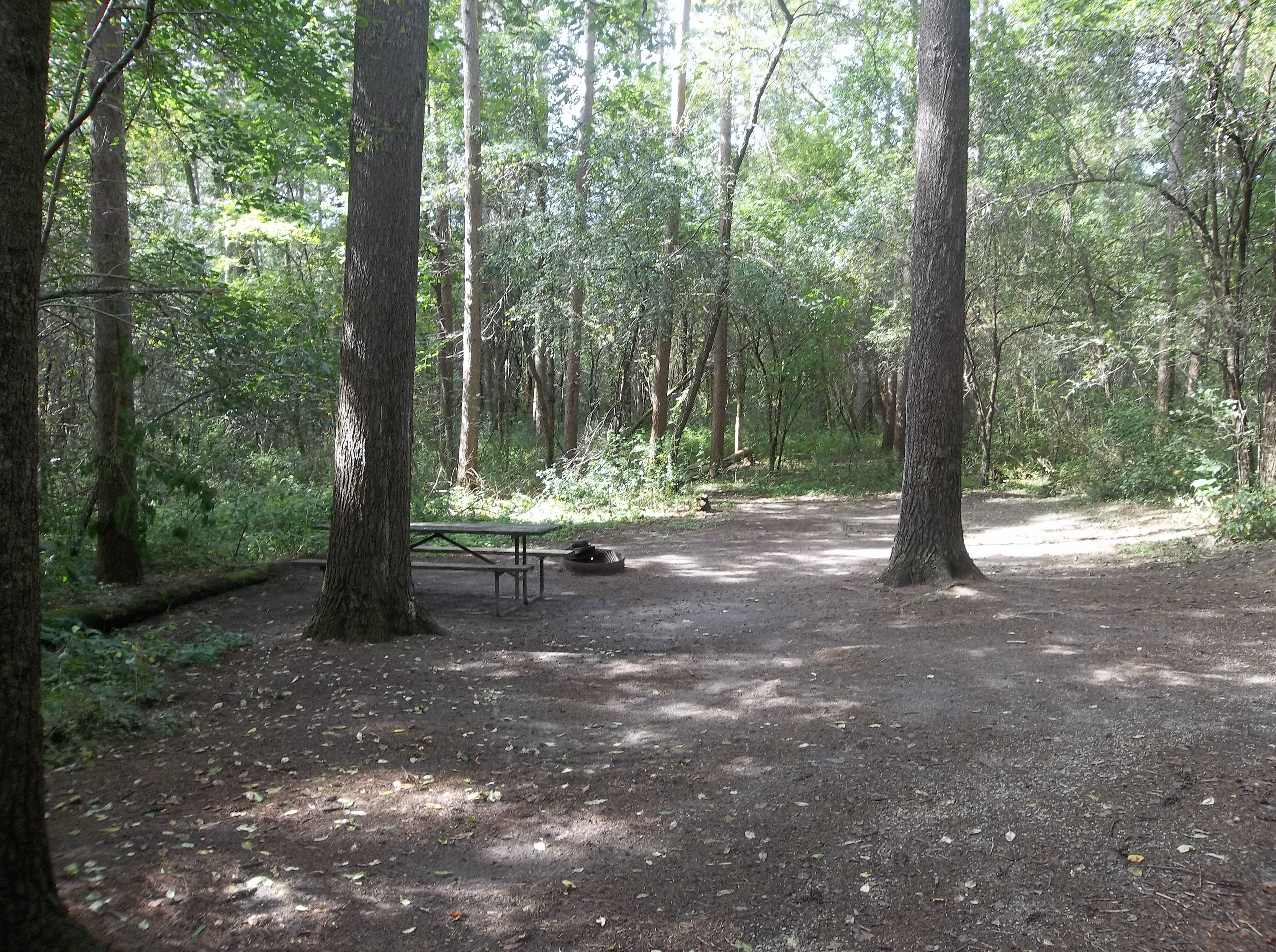 Site 266, photo 3 of 3 · from wisconsin.goingtocamp.com (the park's booking system)