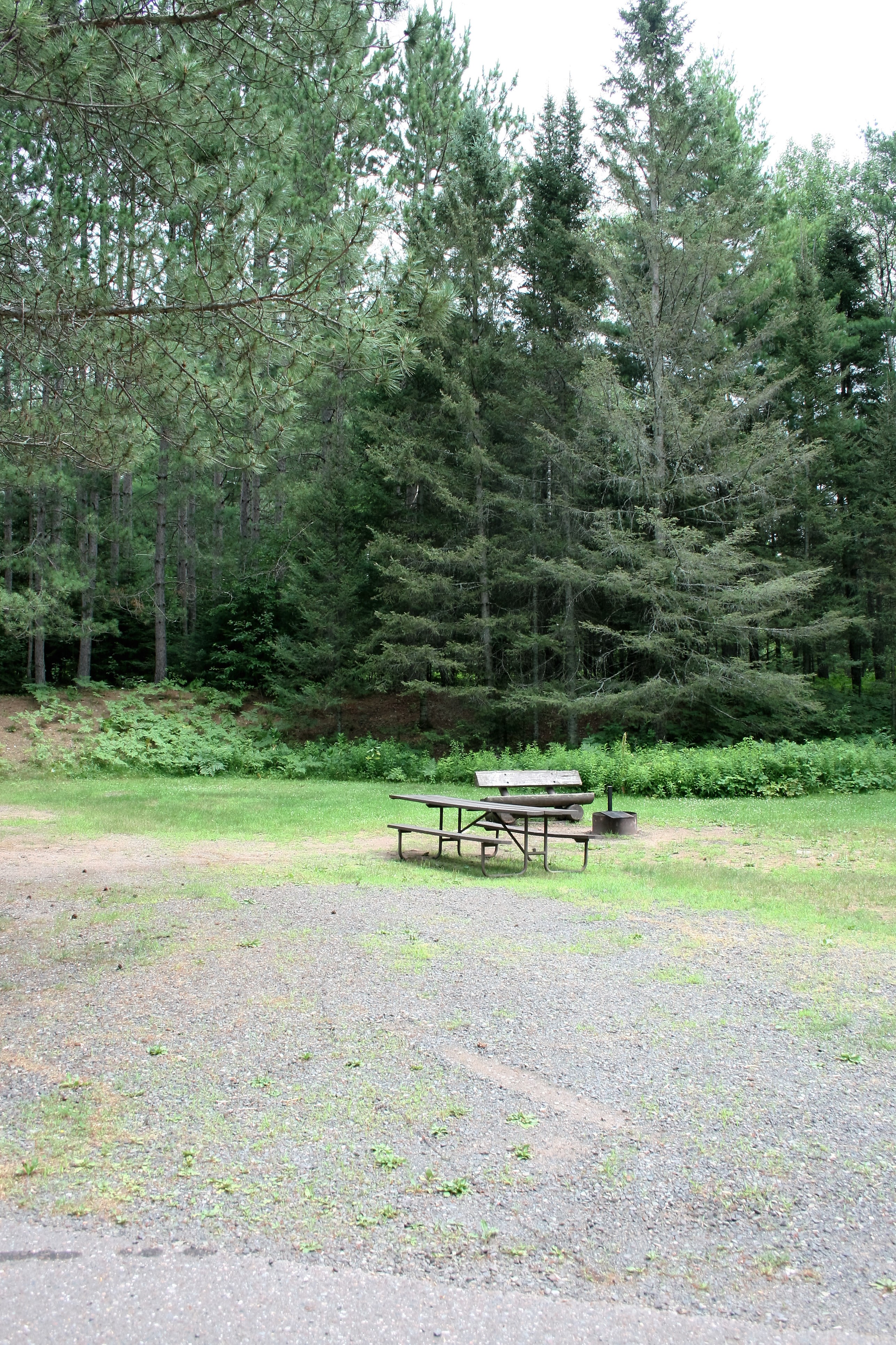 Site 45, photo 2 of 3 · from wisconsin.goingtocamp.com (the park's booking system)