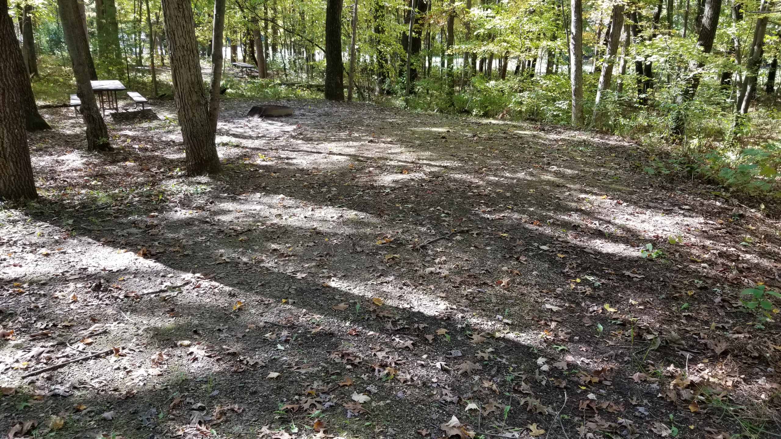 Site 5, photo 2 of 4 · from wisconsin.goingtocamp.com (the park's booking system)