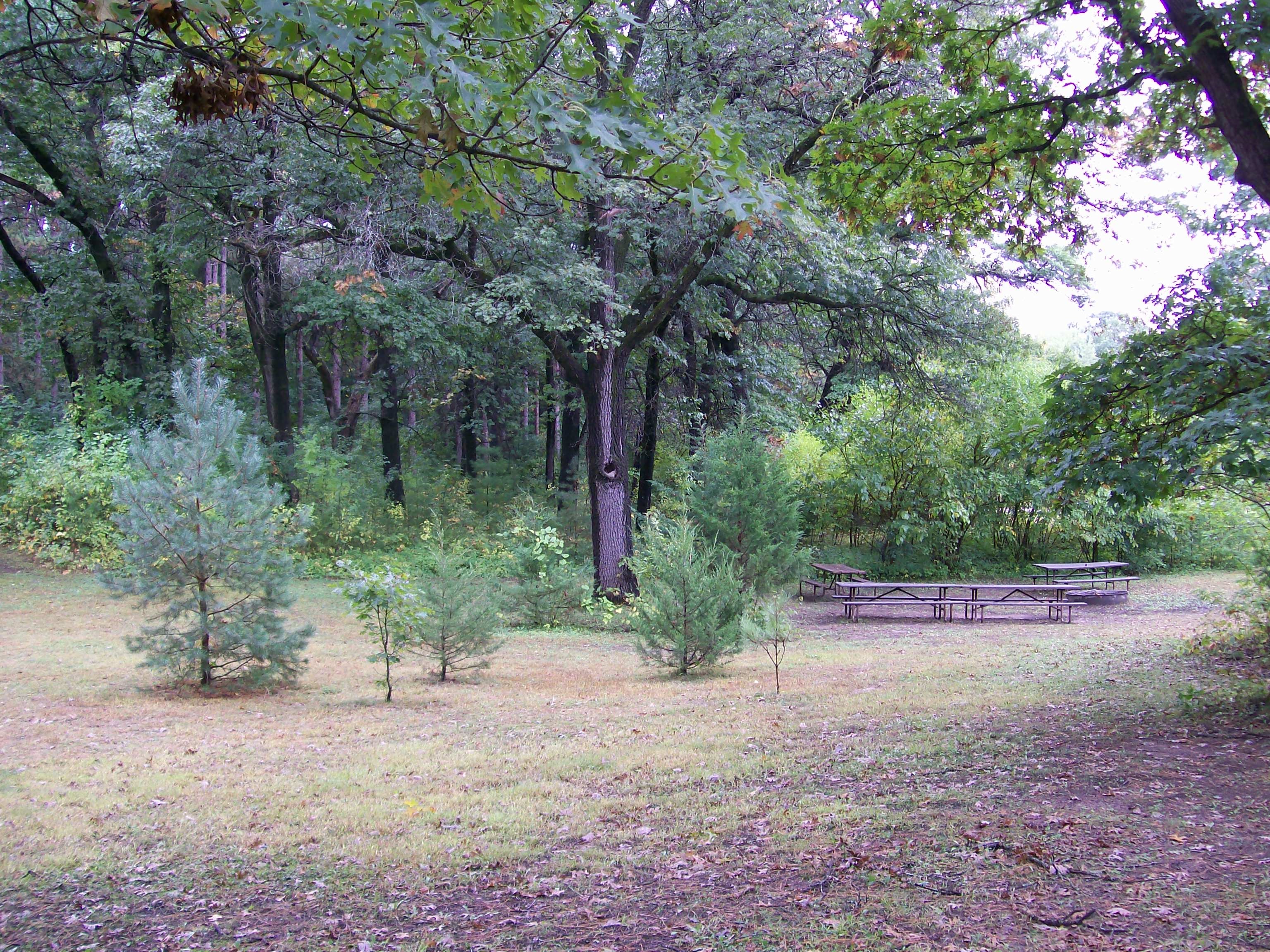 Site B, photo 3 of 5 · from wisconsin.goingtocamp.com (the park's booking system)