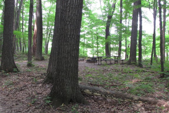 Site 10, photo 2 of 4 · from wisconsin.goingtocamp.com (the park's booking system)