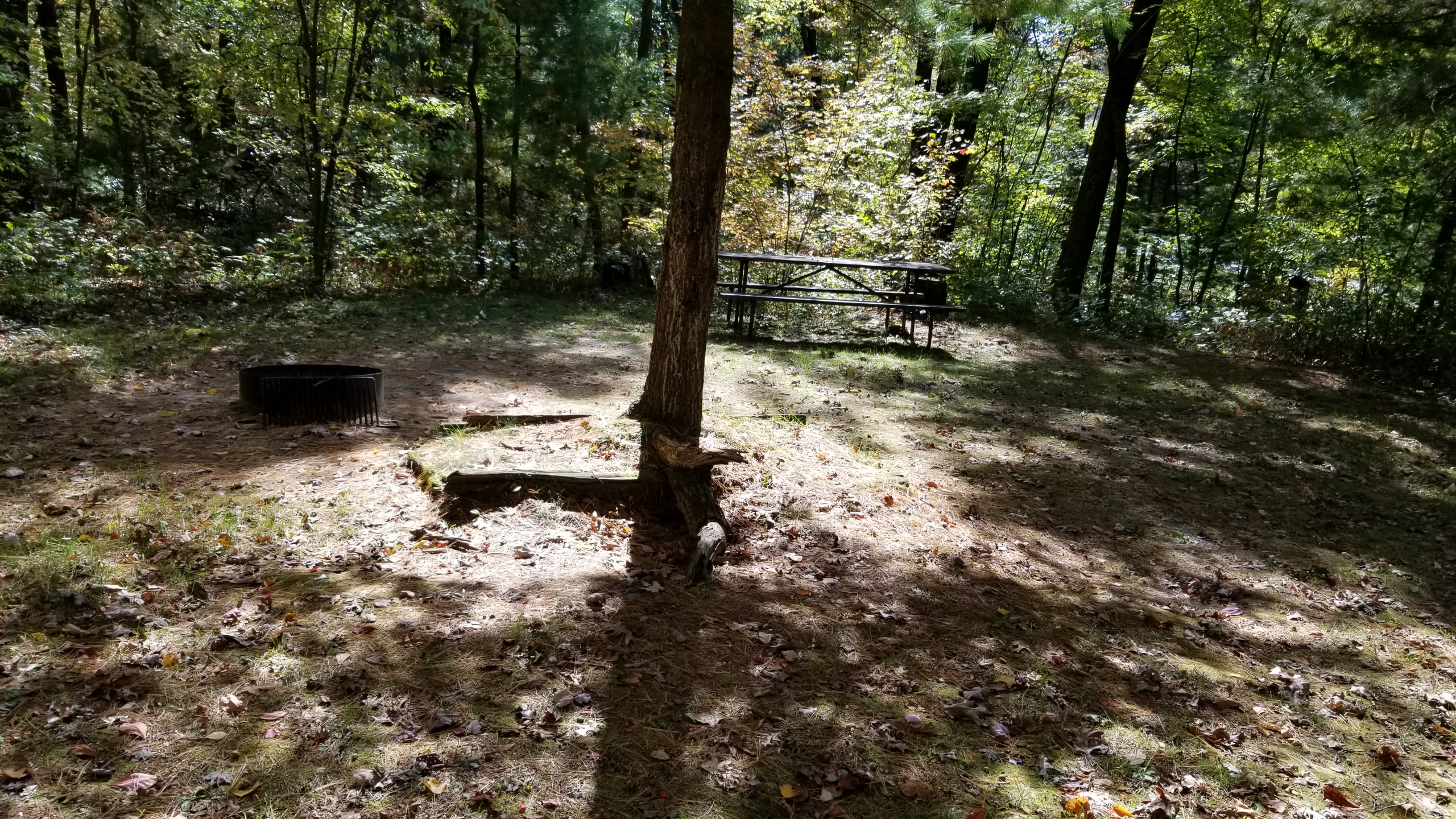 Site 10, photo 3 of 4 · from wisconsin.goingtocamp.com (the park's booking system)
