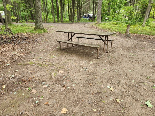 Site 43, photo 2 of 3 · from wisconsin.goingtocamp.com (the park's booking system)