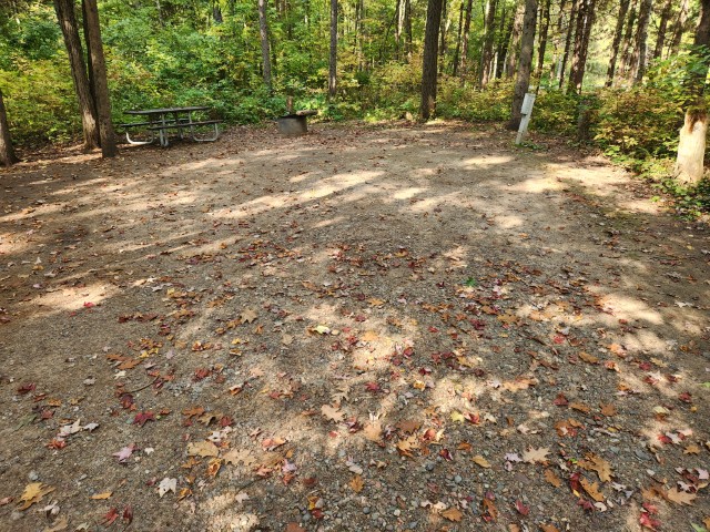 Site 44, photo 3 of 3 · from wisconsin.goingtocamp.com (the park's booking system)