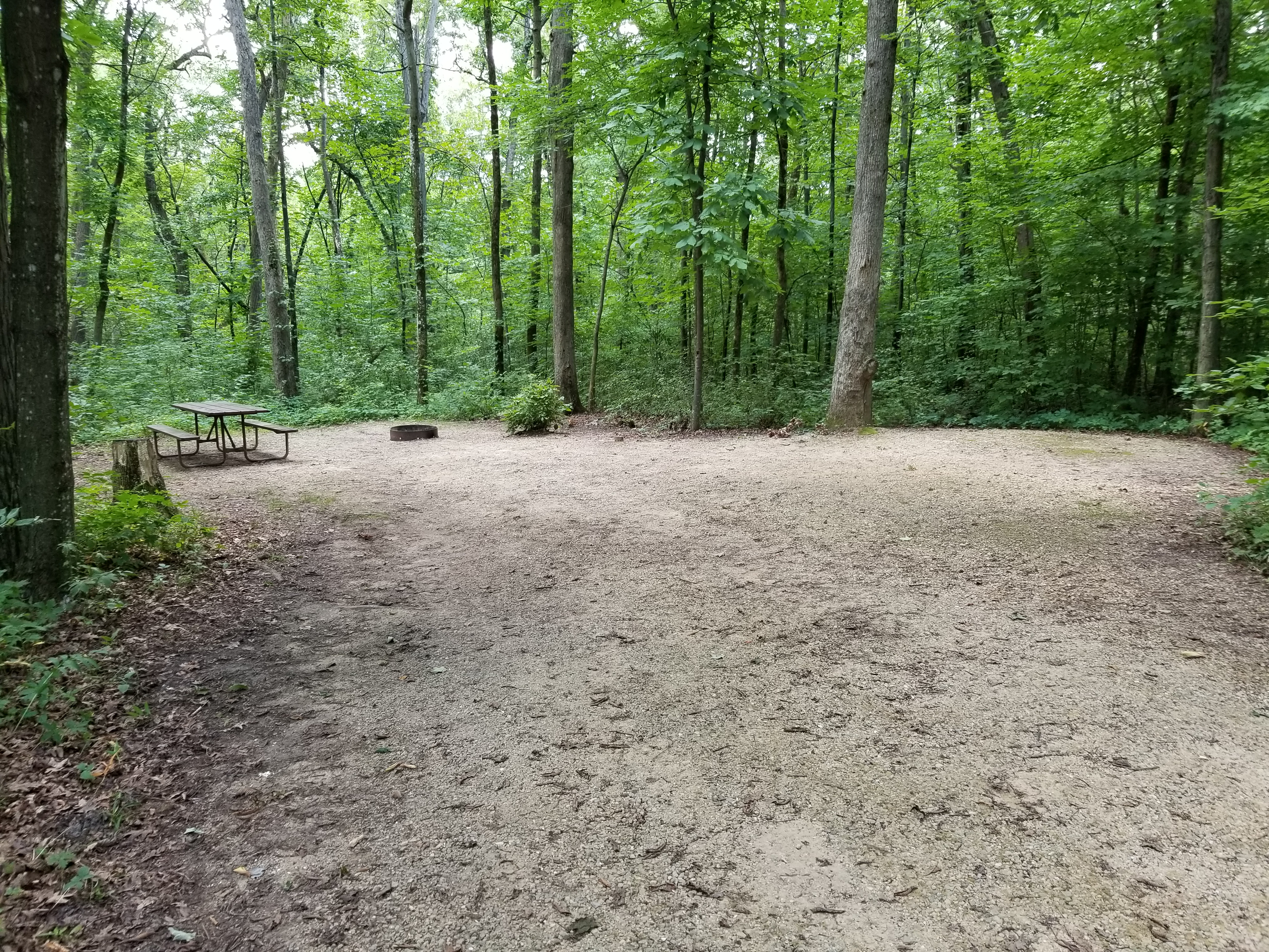 Site 75, photo 2 of 3 · from wisconsin.goingtocamp.com (the park's booking system)