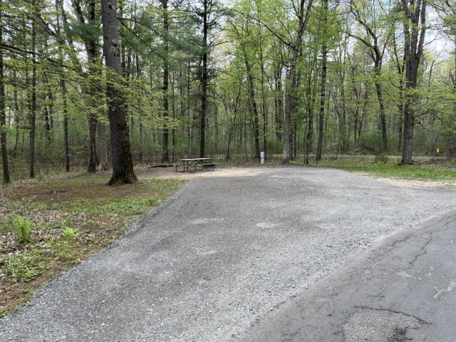 Site 2, photo 2 of 3 · from wisconsin.goingtocamp.com (the park's booking system)