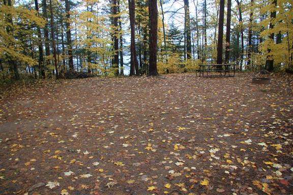 Site 420, photo 3 of 3 · from wisconsin.goingtocamp.com (the park's booking system)