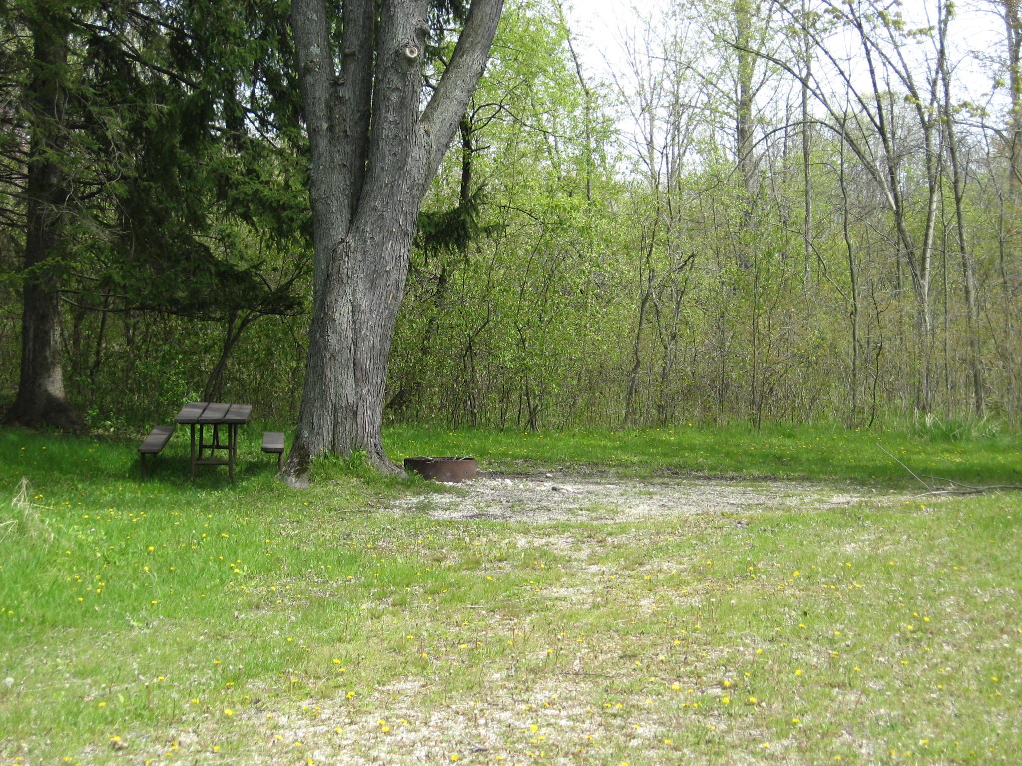 Site 638, photo 2 of 2 · from wisconsin.goingtocamp.com (the park's booking system)