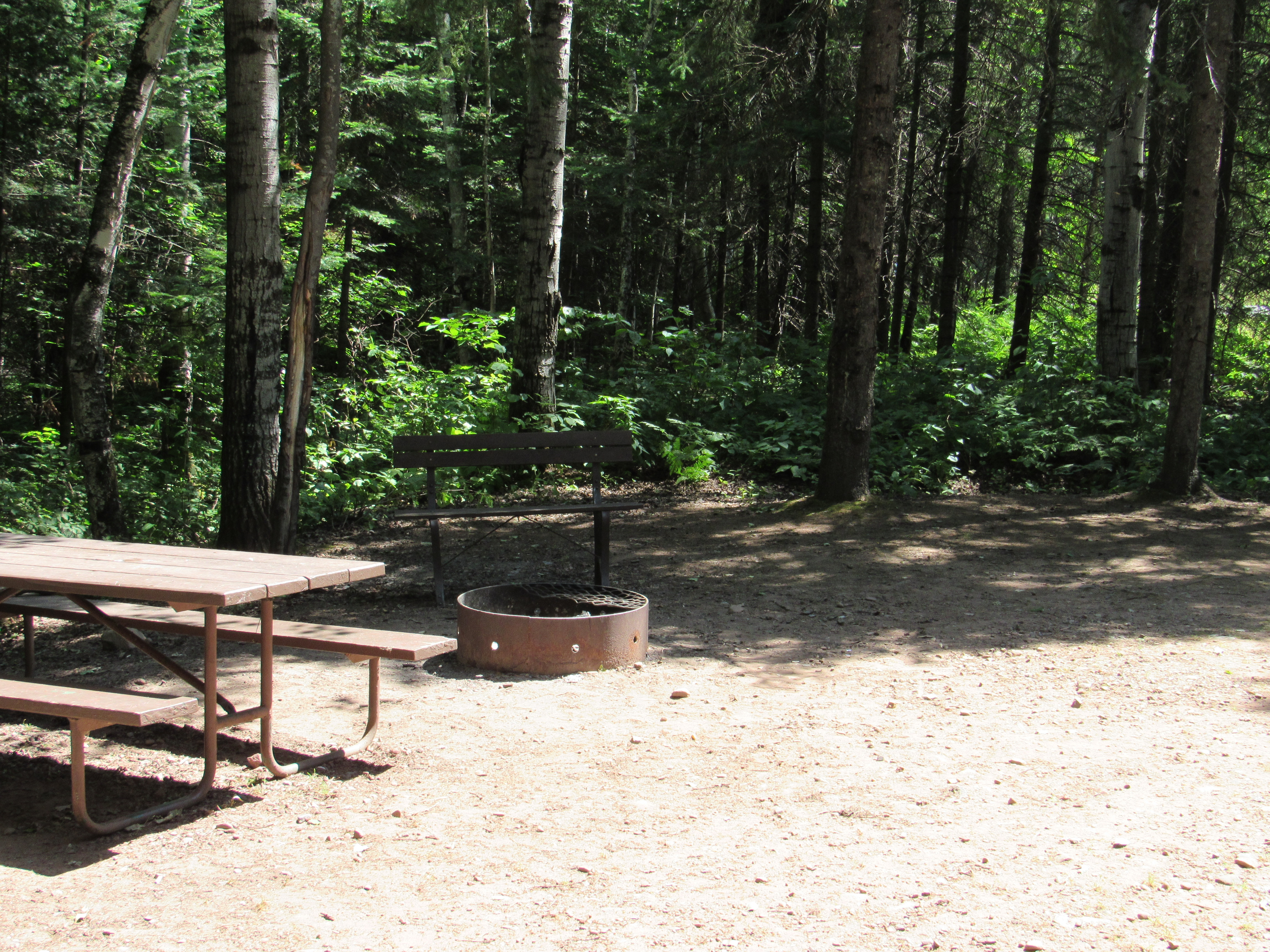 Site 1, photo 3 of 3 · from wisconsin.goingtocamp.com (the park's booking system)