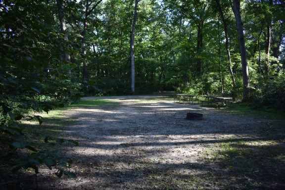 Site 48, photo 2 of 3 · from wisconsin.goingtocamp.com (the park's booking system)