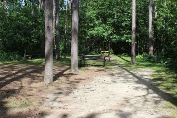 Site 20, photo 3 of 3 · from wisconsin.goingtocamp.com (the park's booking system)