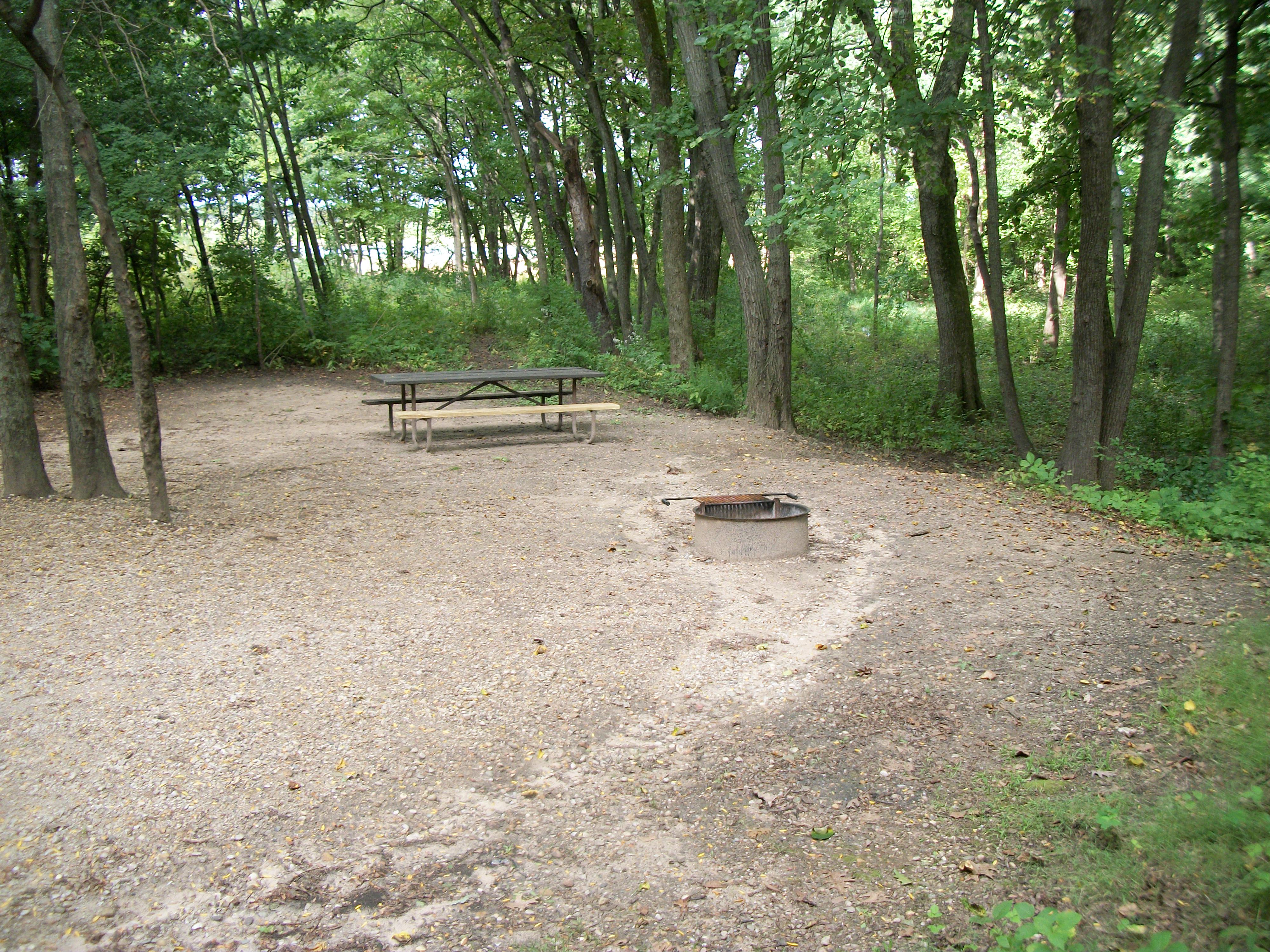 Site 365, photo 3 of 3 · from wisconsin.goingtocamp.com (the park's booking system)