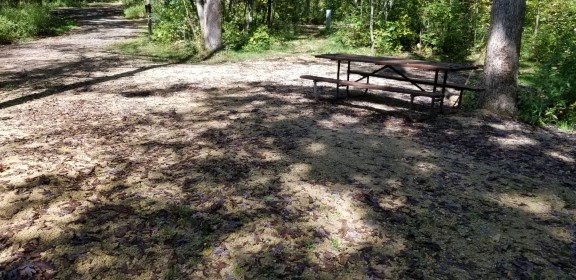 Site 10, photo 3 of 3 · from wisconsin.goingtocamp.com (the park's booking system)