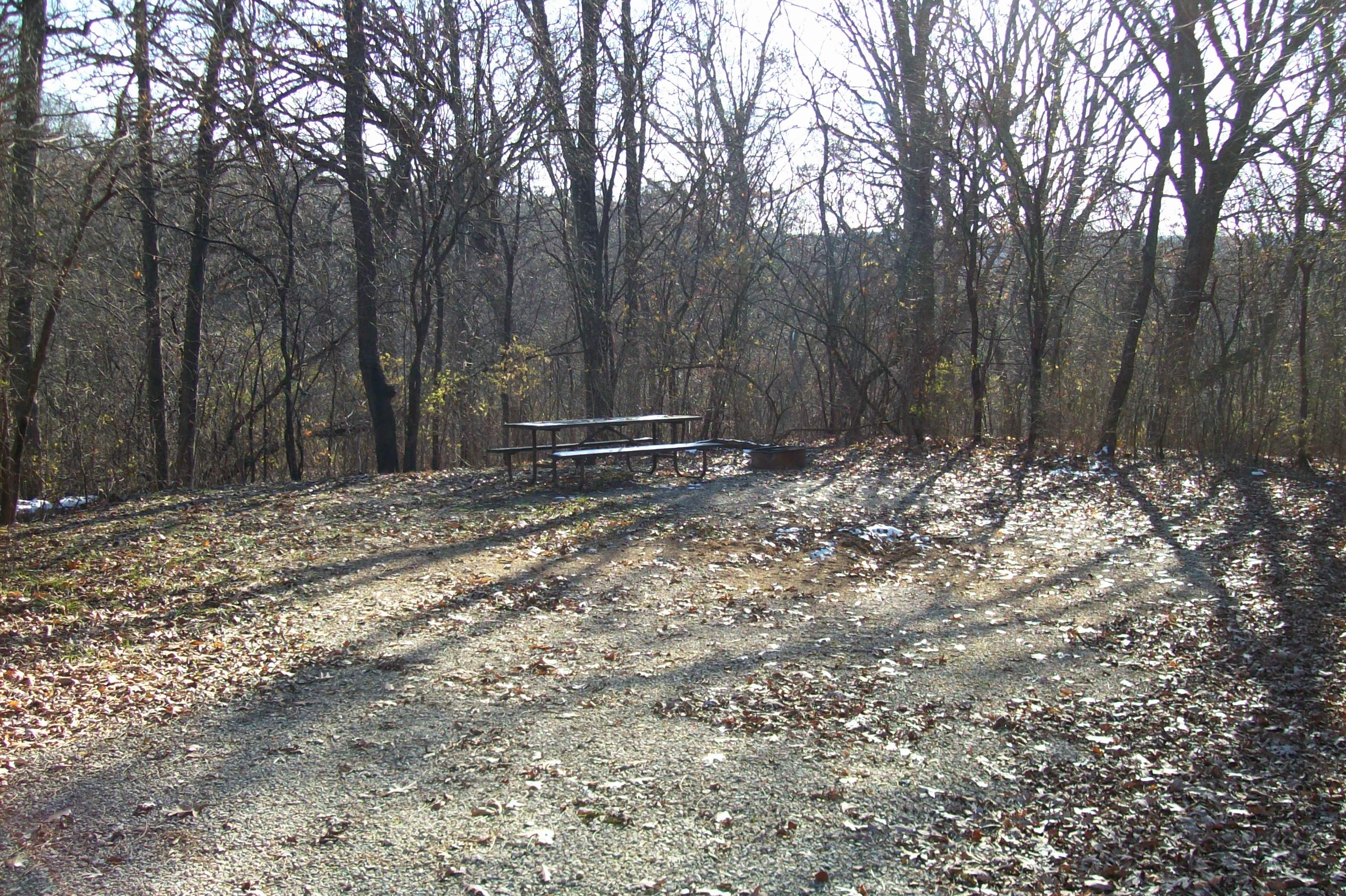 Site 777, photo 2 of 4 · from wisconsin.goingtocamp.com (the park's booking system)