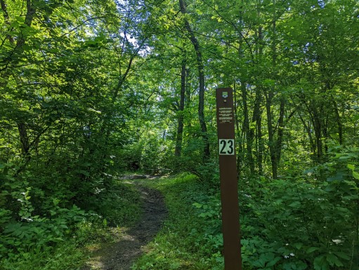 Site 23, photo 2 of 3 · from wisconsin.goingtocamp.com (the park's booking system)