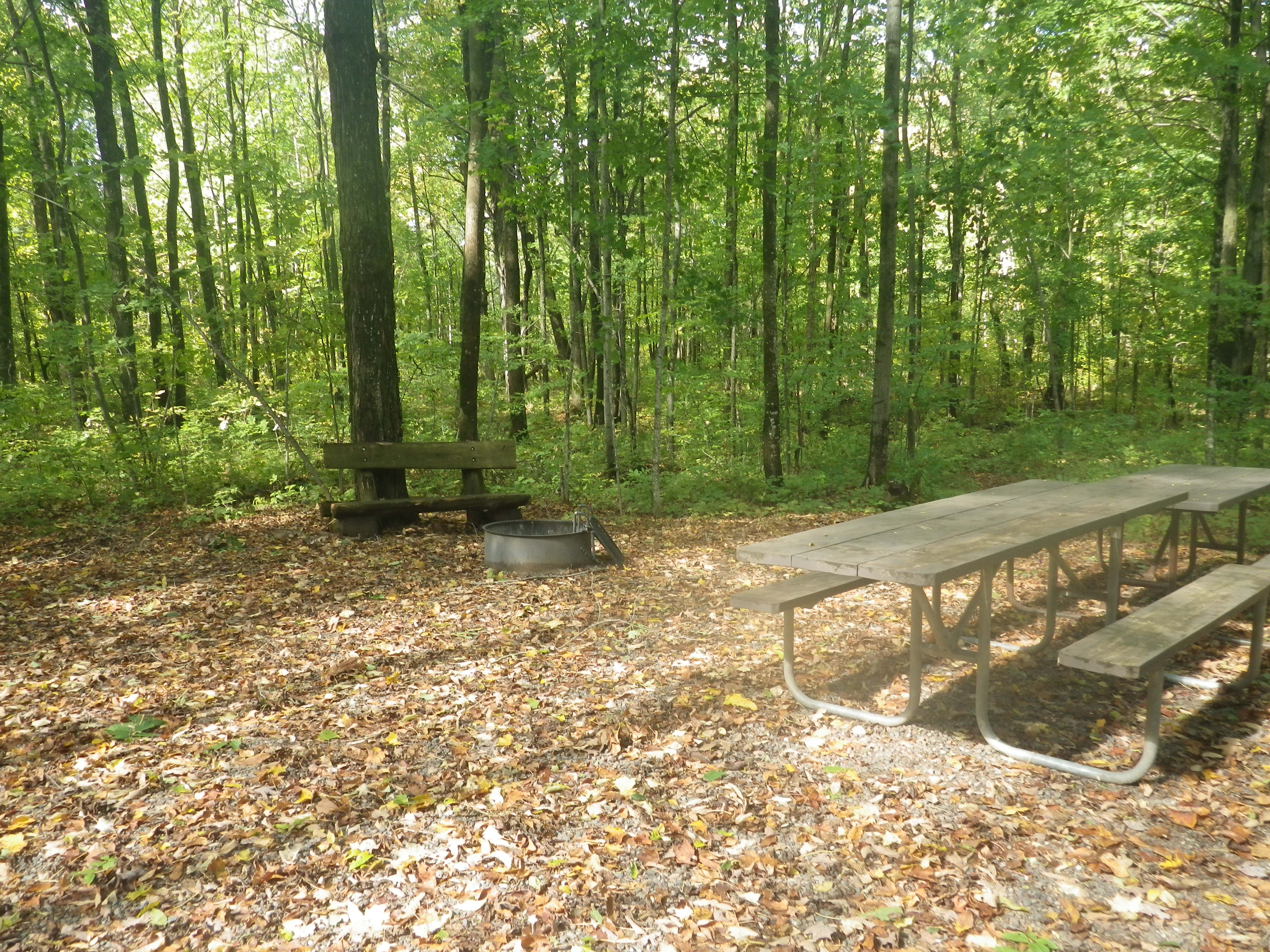 Site 122, photo 3 of 3 · from wisconsin.goingtocamp.com (the park's booking system)