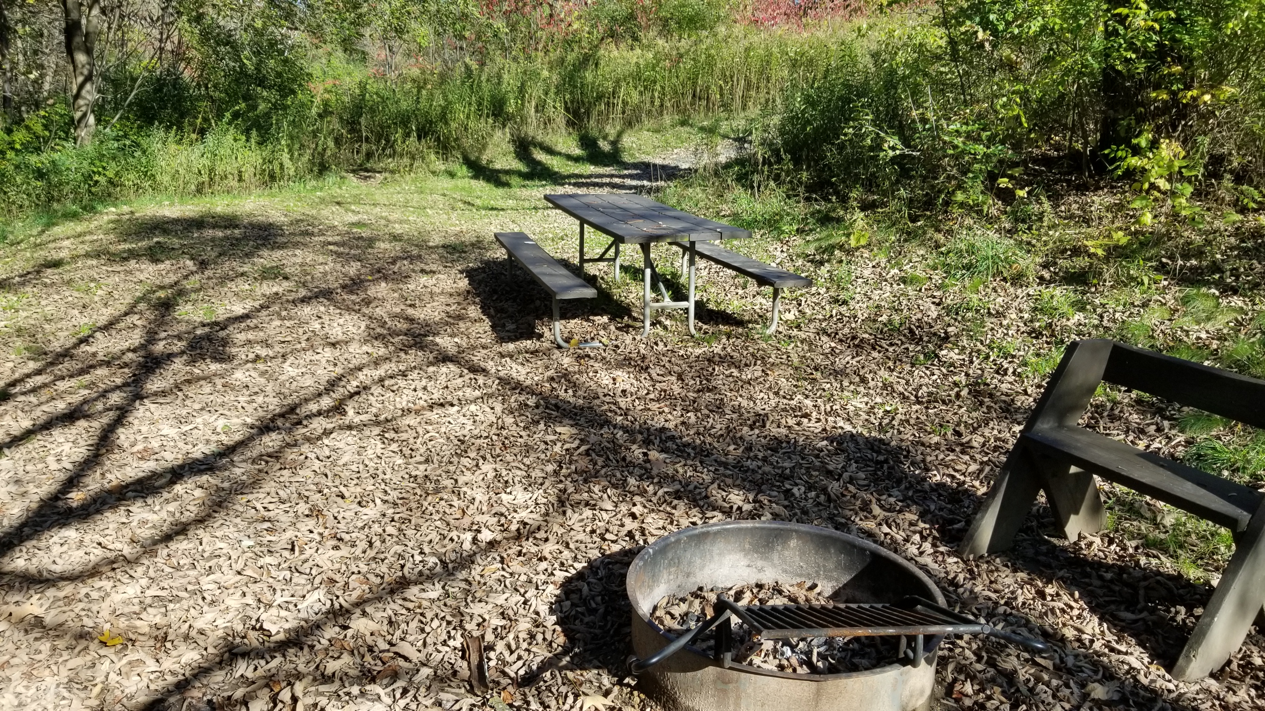 Site 118, photo 3 of 3 · from wisconsin.goingtocamp.com (the park's booking system)
