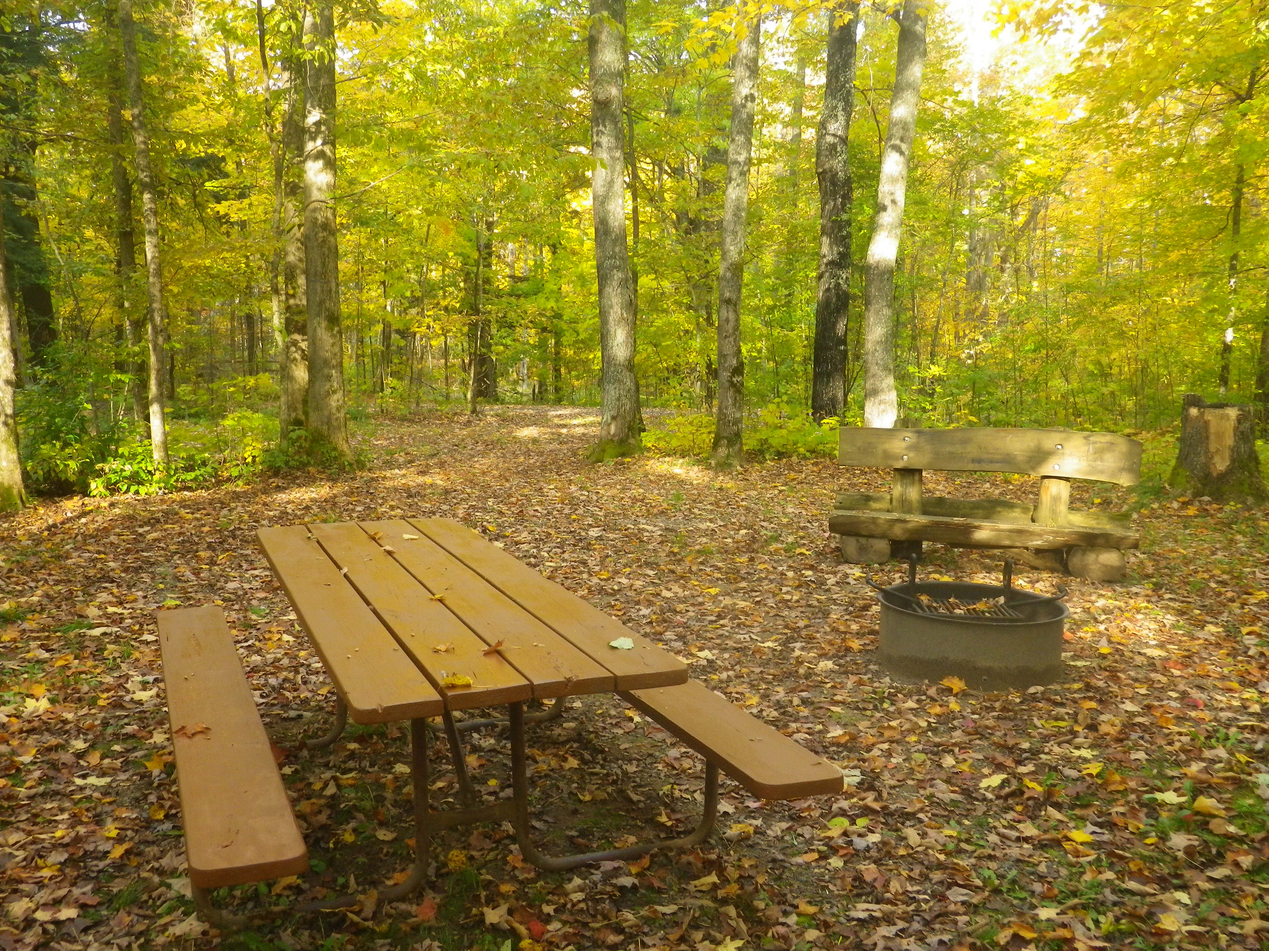 Site 26, photo 3 of 3 · from wisconsin.goingtocamp.com (the park's booking system)