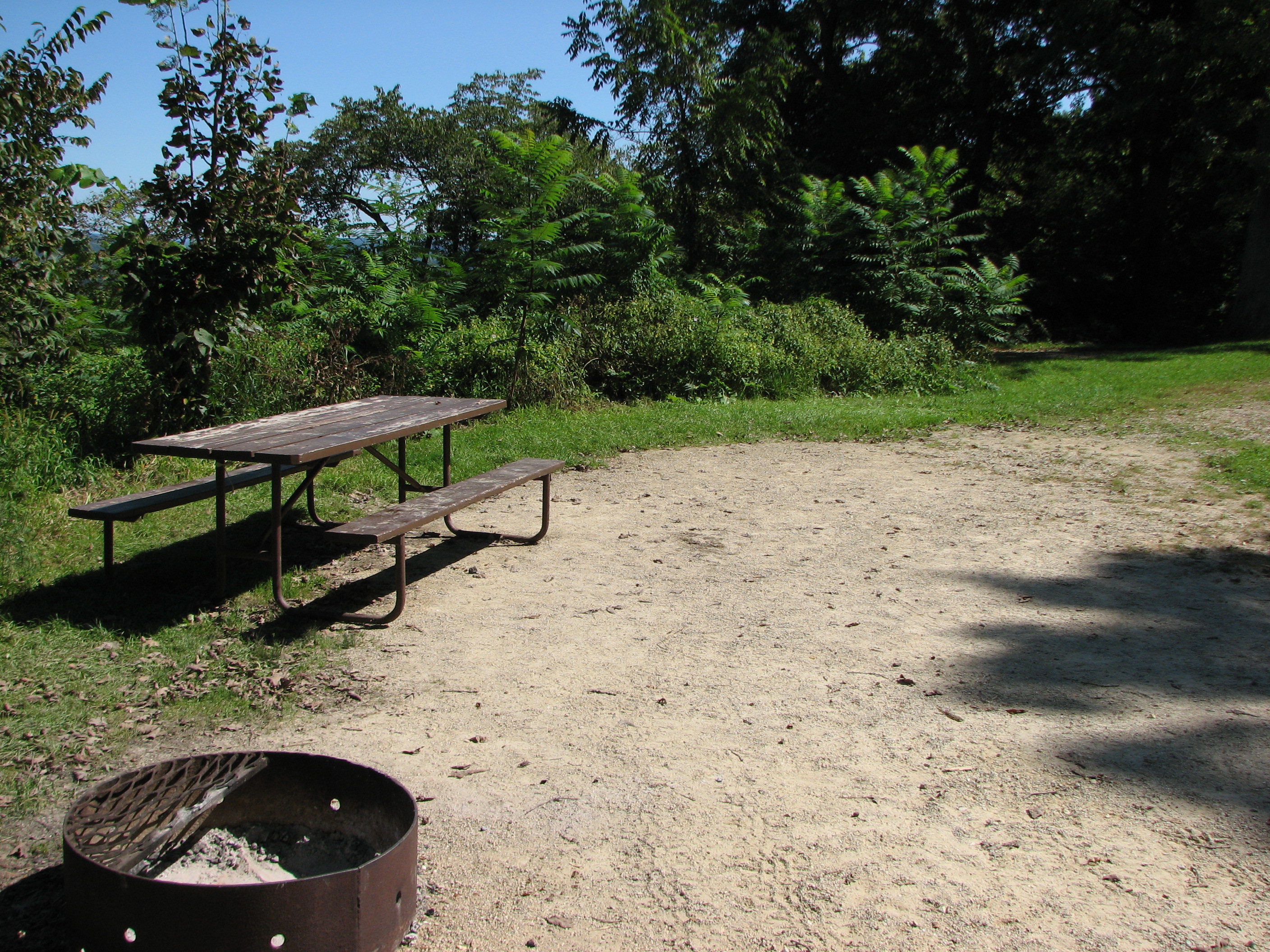 Site 125, photo 2 of 2 · from wisconsin.goingtocamp.com (the park's booking system)
