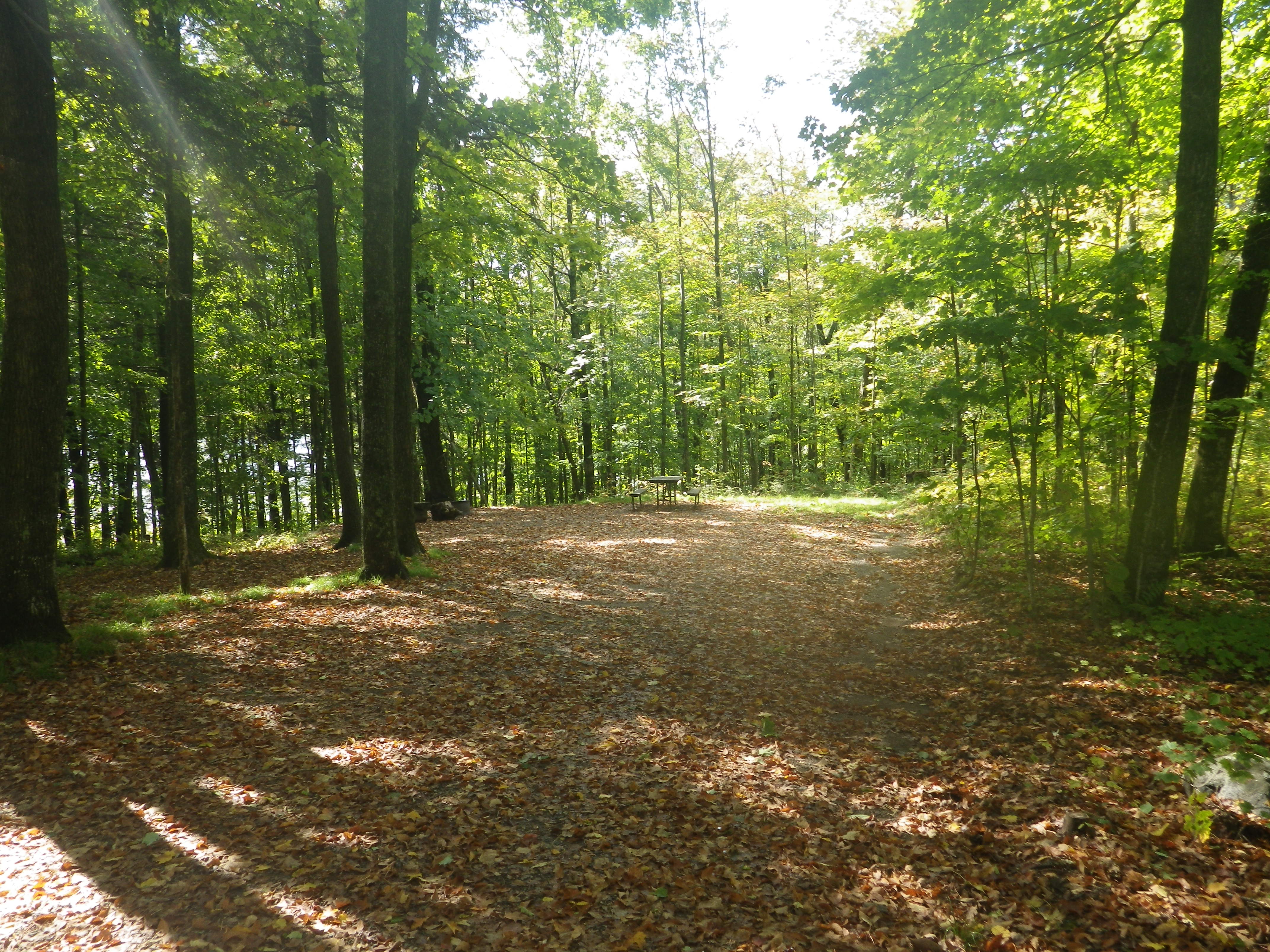 Site 112, photo 2 of 3 · from wisconsin.goingtocamp.com (the park's booking system)
