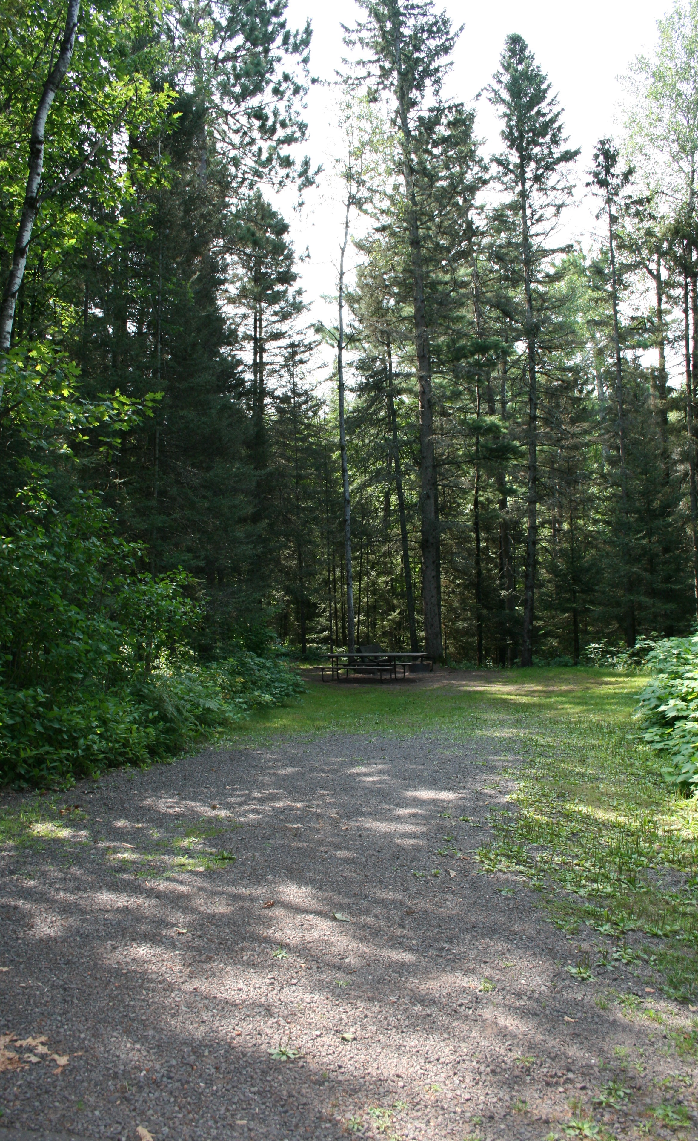 Site 40, photo 2 of 3 · from wisconsin.goingtocamp.com (the park's booking system)