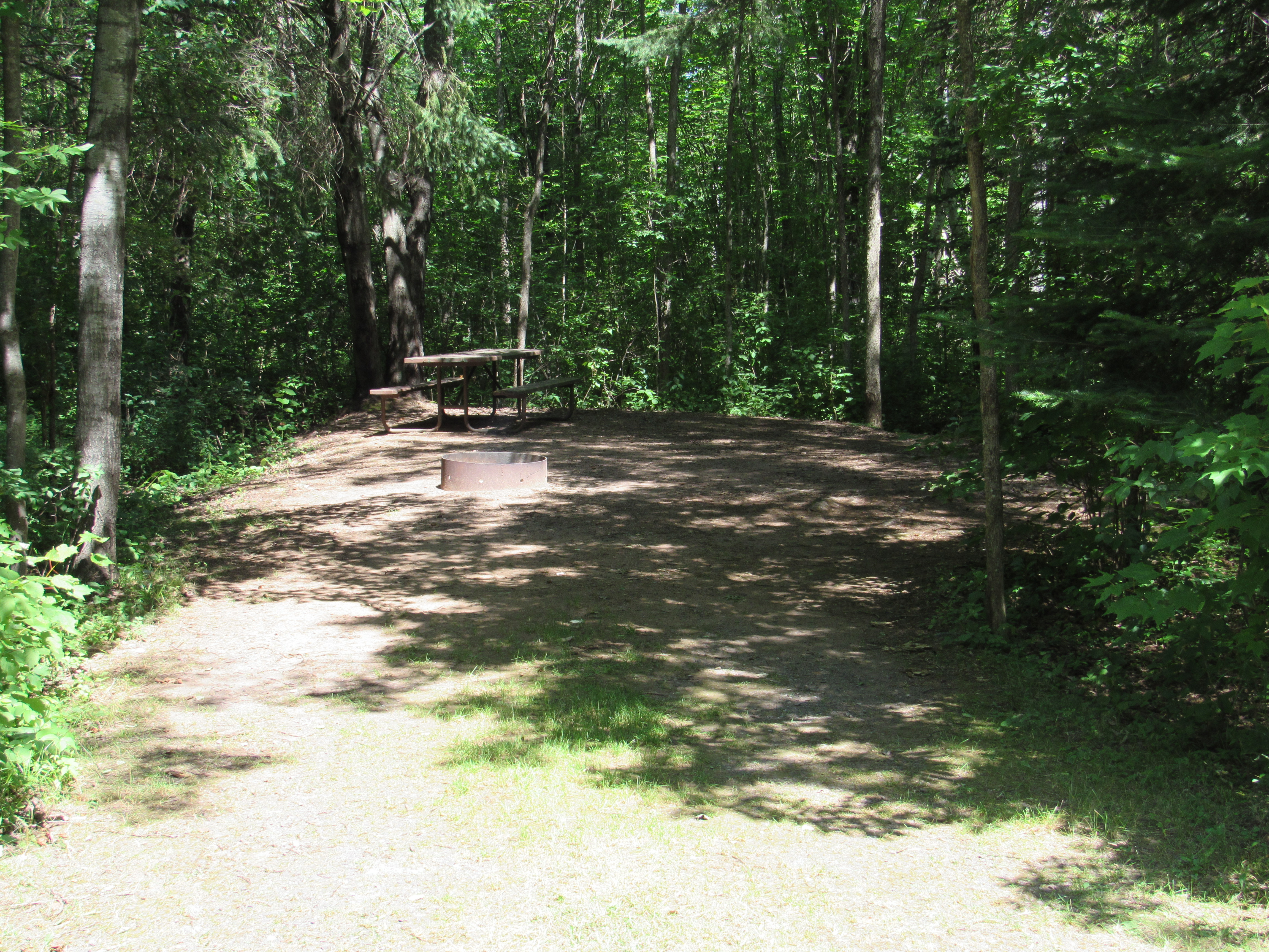 Site 6, photo 2 of 3 · from wisconsin.goingtocamp.com (the park's booking system)