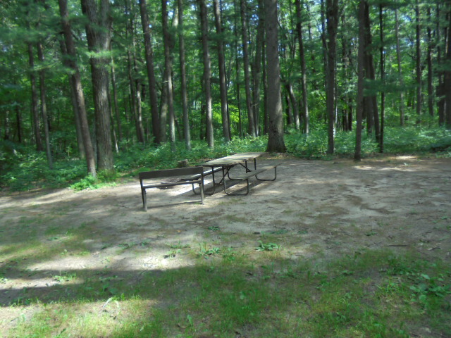 Site 39, photo 2 of 4 · from wisconsin.goingtocamp.com (the park's booking system)