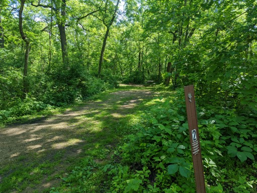 Site 2, photo 2 of 3 · from wisconsin.goingtocamp.com (the park's booking system)